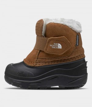 Botte Hiver The North Face Alpenglow II Fille Marron | FRANCE EPUHS