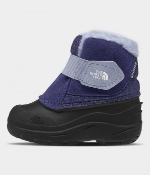 Botte Hiver The North Face Alpenglow II Garcon Bleu Noir | FRANCE ZRPJL