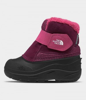 Botte Hiver The North Face Alpenglow II Garcon Rose Noir | PARIS FEMON