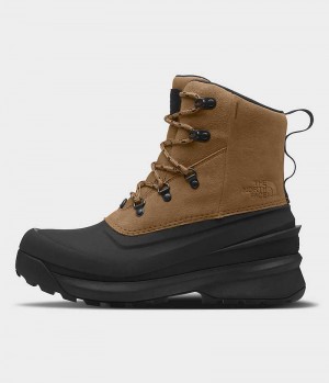 Botte Hiver The North Face Chilkat V Dentelle Imperméables Homme Marron Noir | PARIS RMFHN