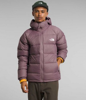 Doudoune The North Face Hydrenalite™ Hoodie Homme Fushia | FRANCE QZSXG