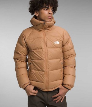 Doudoune The North Face Hydrenalite™ Hoodie Homme Kaki | FRANCE TWLFS