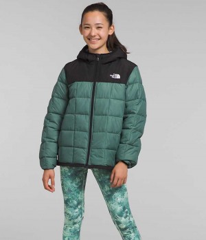 Doudoune The North Face Lhotse Fille Vert | FRANCE YKZHE