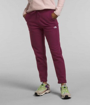 Pantalon En Molleton The North Face Alpine Polartec® 100 Femme Bordeaux | FRANCE JCVWO