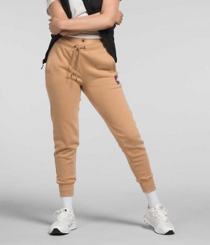 Pantalon Jogging The North Face Box NSE Femme Kaki | PARIS GMFHJ