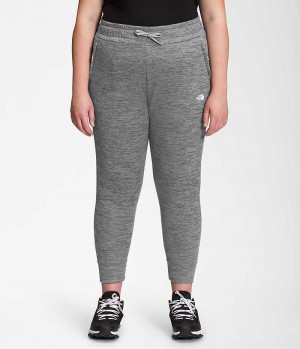 Pantalon Jogging The North Face Plus Canyonlands Femme Grise | PARIS HFRES