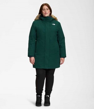 Parka The North Face Plus Arctic Femme Vert | FRANCE YAXSG