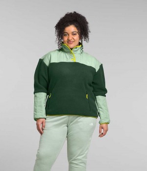 Pulls De Golf The North Face Plus Cragmont Fleece ¼-Snap Femme Vert | PARIS QZPDK