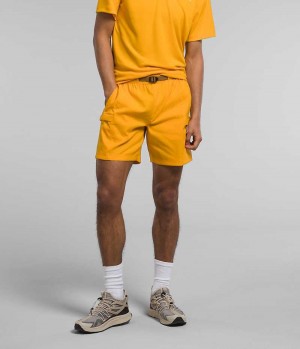 Short The North Face Class V Belted Homme Doré | PARIS VFKGD