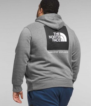 Sweat a Capuche The North Face Big Box NSE Pullover Homme Grise | FR ASWCK