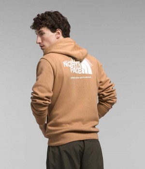 Sweat a Capuche The North Face Box NSE Pullover Homme Kaki | PARIS XPTLG