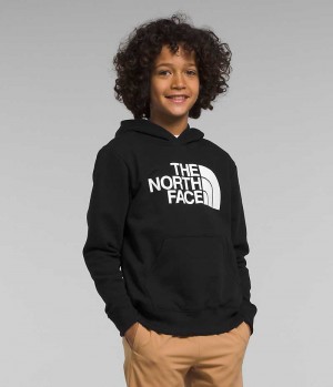 Sweat a Capuche The North Face Camp Fleece Pullover Garcon Noir | FR ITEGB