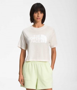 T-Shirt The North Face Corta Sleeve Half Dome Crop Femme Blanche | FR SLCGI