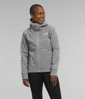 Veste Softshell The North Face Shelbe Raschel Hoodie Femme Grise | FR XLRTQ