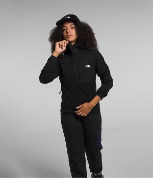 Vestes Polaires The North Face Canyonlands High Altitude Hoodie Femme Noir | FR UMYPK