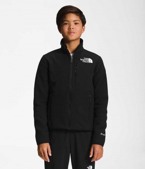 Vestes Polaires The North Face Denali Garcon Noir | PARIS UANHO