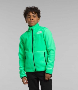 Vestes Polaires The North Face Denali Garcon Vert | FRANCE OBGZJ