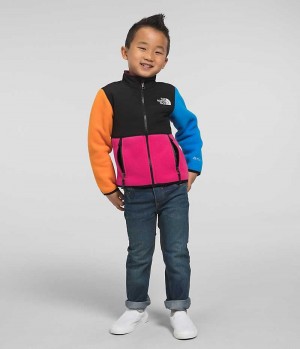 Vestes Polaires The North Face Denali Garcon Multicolore | PARIS KRLUW