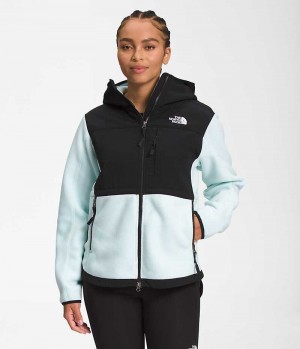 Vestes Polaires The North Face Denali Hoodie Femme Noir Turquoise | PARIS HJLGK