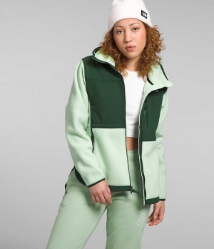 Vestes Polaires The North Face Denali Hoodie Femme Vert | PARIS JNZCF