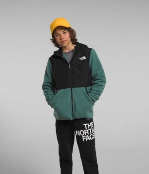 Vestes Polaires The North Face Forrest Full-Zip Encapuchonné Garcon Vert | PARIS UQENB