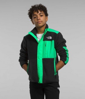 Vestes Polaires The North Face Forrest Mashup Garcon Noir Vert | PARIS HGCZD