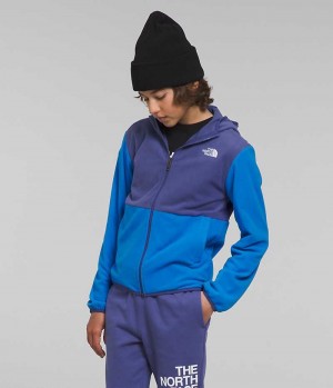 Vestes Polaires The North Face Glacier Full-Zip Encapuchonné Garcon Bleu | FRANCE AIBHZ