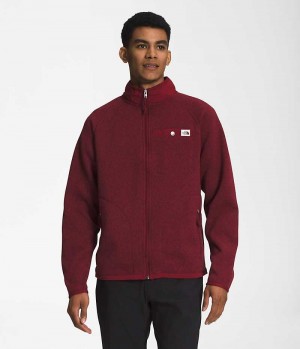 Vestes Polaires The North Face Gordon Lyons Full-Zip Homme Rouge | FRANCE WQHXM