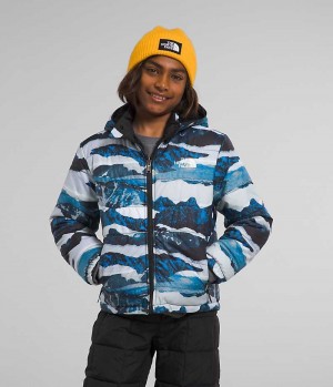 Vestes Polaires The North Face Reversible Mt Chimbo Full-Zip Encapuchonné Garcon Bleu | PARIS SXZEB