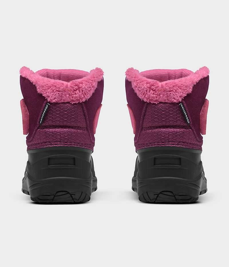 Botte Hiver The North Face Alpenglow II Fille Rose Noir | FRANCE VENPW