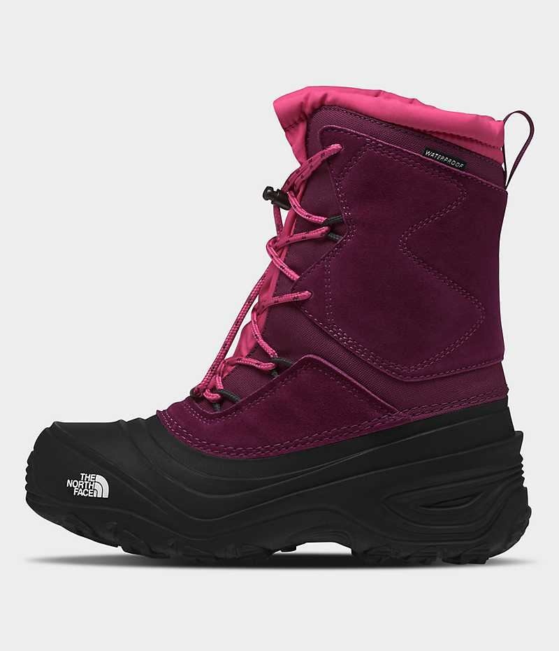 Botte Hiver The North Face Alpenglow V Imperméables Fille Fushia Noir | PARIS GSNWY