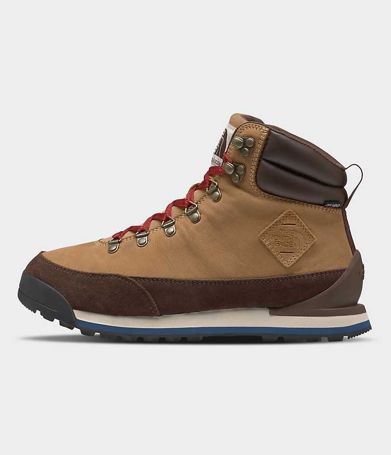 Botte Hiver The North Face Back-To-Berkeley IV Cuir Imperméables Homme Marron | FRANCE LBCXU