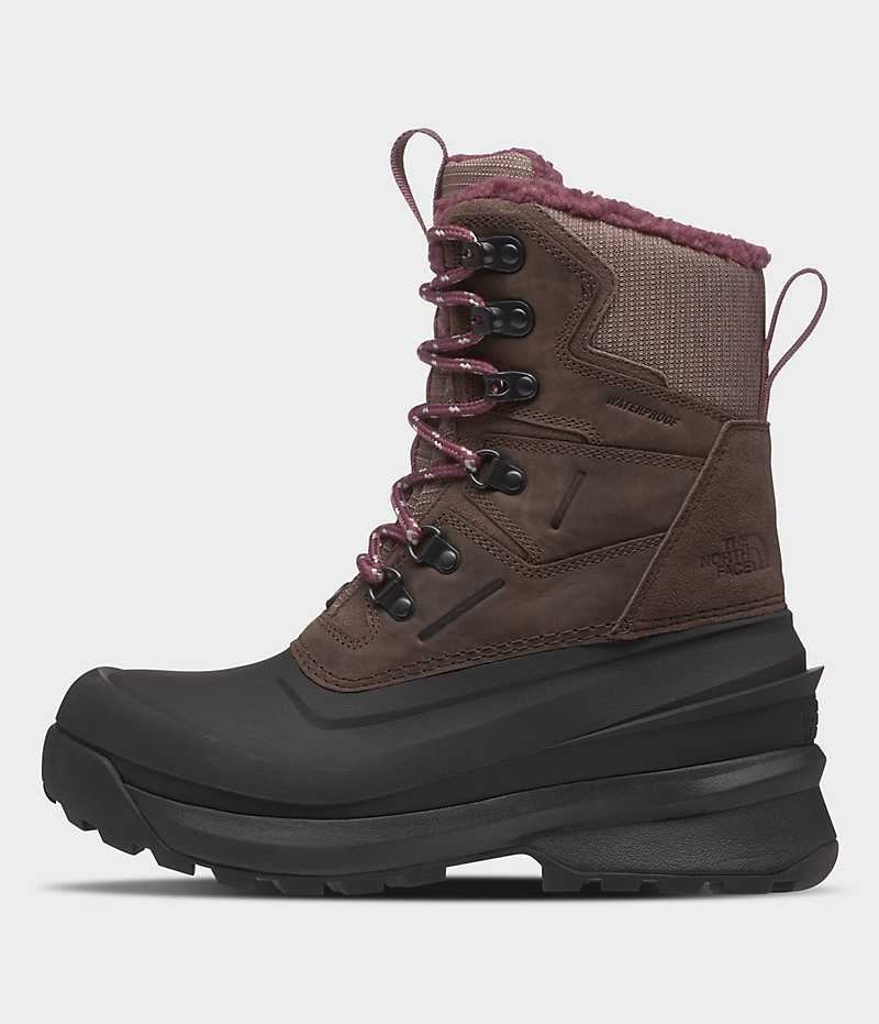 Botte Hiver The North Face Chilkat V 400 Imperméables Femme Marron Noir | FR IHMYN