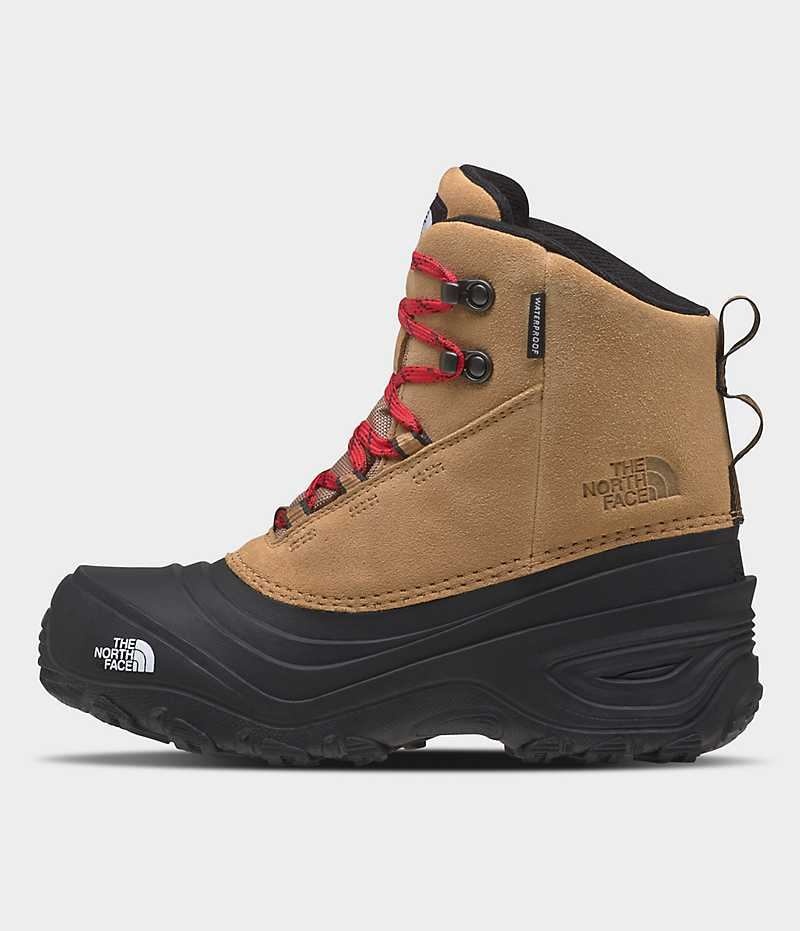 Botte Hiver The North Face Chilkat V Dentelle Imperméables Fille Marron | FRANCE VTUKI