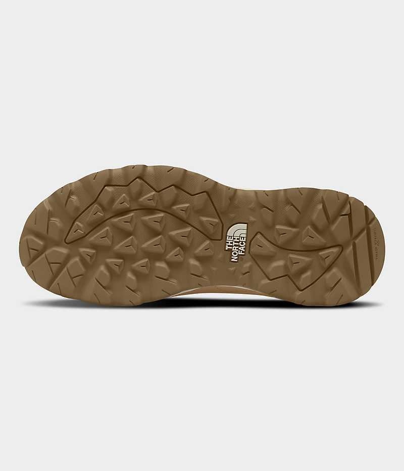 Chaussure de Randonnée The North Face Hedgehog 3 Imperméables Femme Marron | FRANCE XIDVG