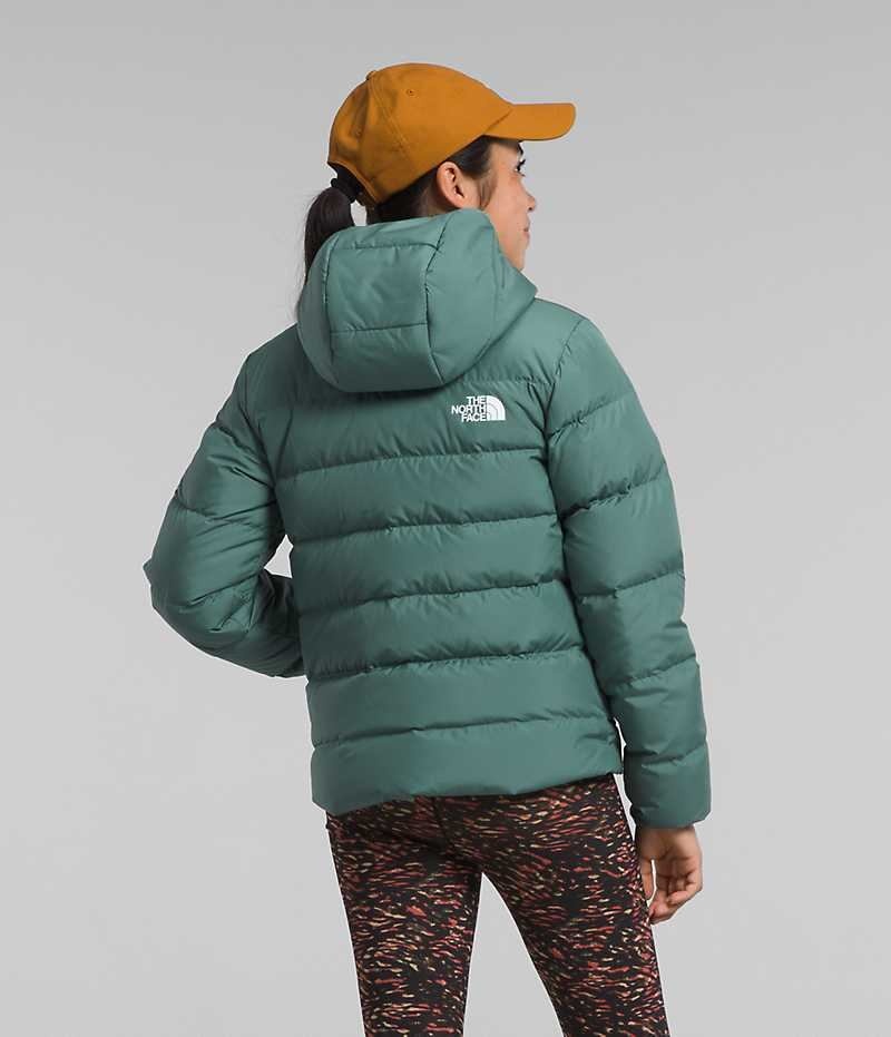 Doudoune The North Face Reversible North Encapuchonné Fille Vert | FRANCE IMKBV