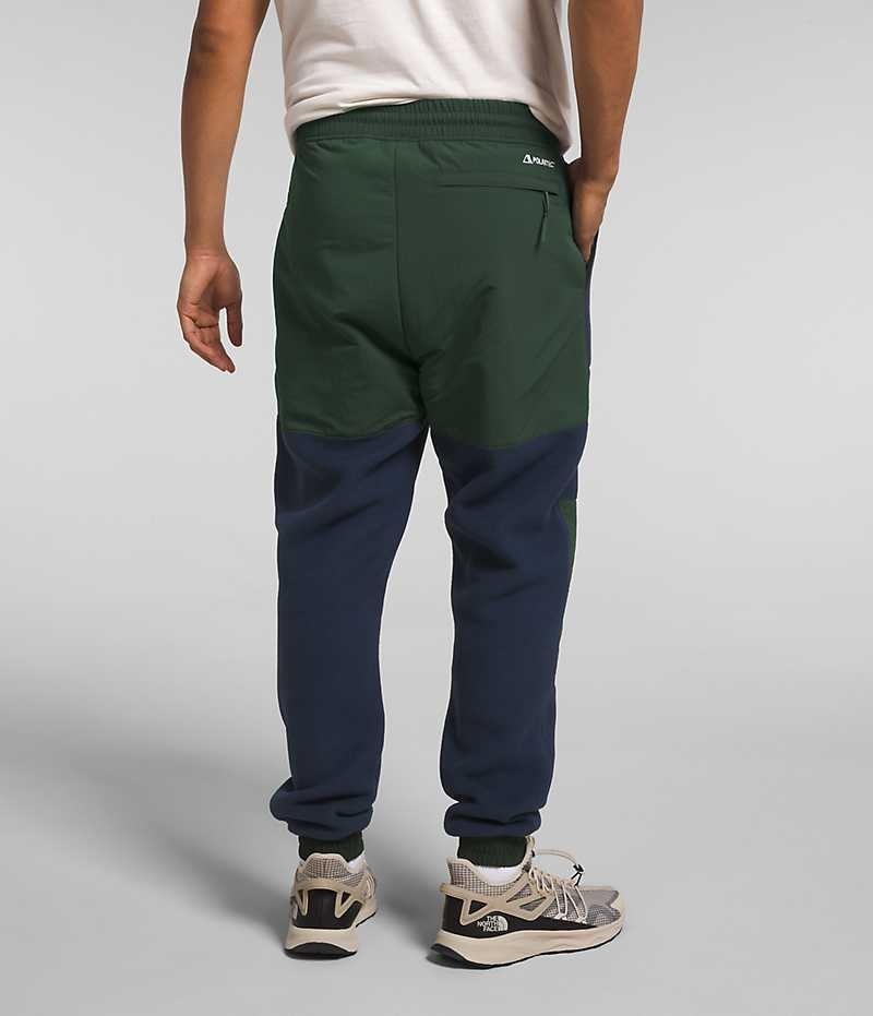 Pantalon En Molleton The North Face Denali Homme Bleu Marine Vert | PARIS TQCOA