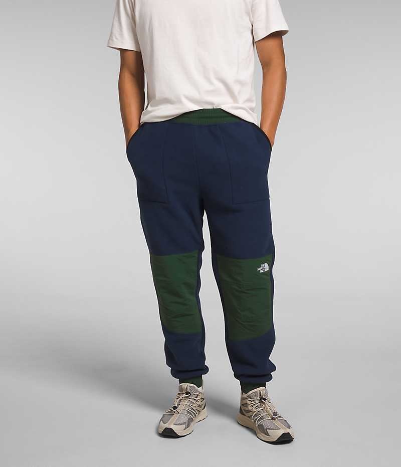 Pantalon En Molleton The North Face Denali Homme Bleu Marine Vert | PARIS TQCOA