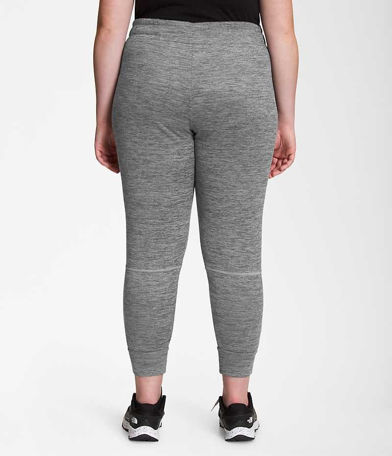 Pantalon Jogging The North Face Plus Canyonlands Femme Grise | PARIS HFRES