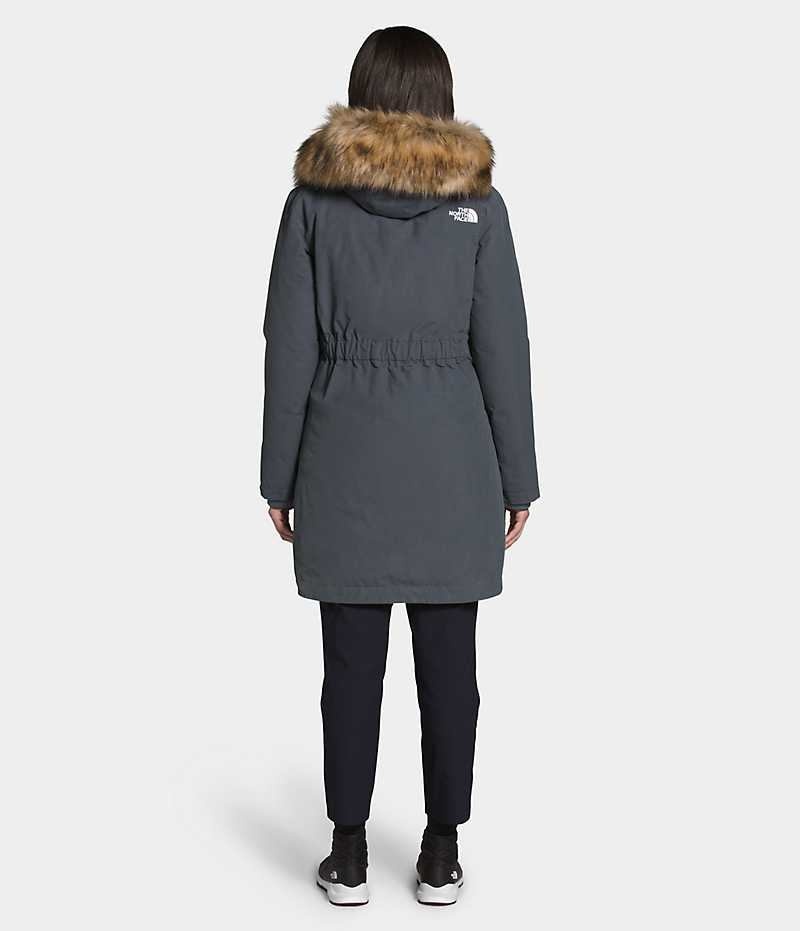 Parka The North Face Arctic Femme Grise | FR IAWQJ