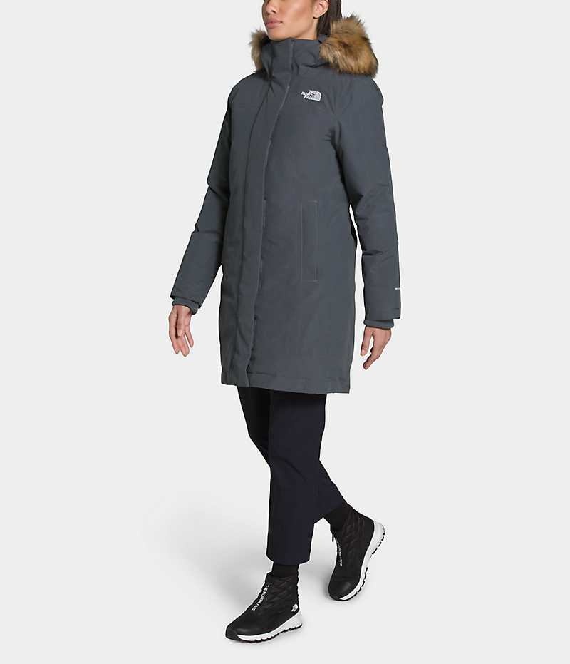 Parka The North Face Arctic Femme Grise | FR IAWQJ