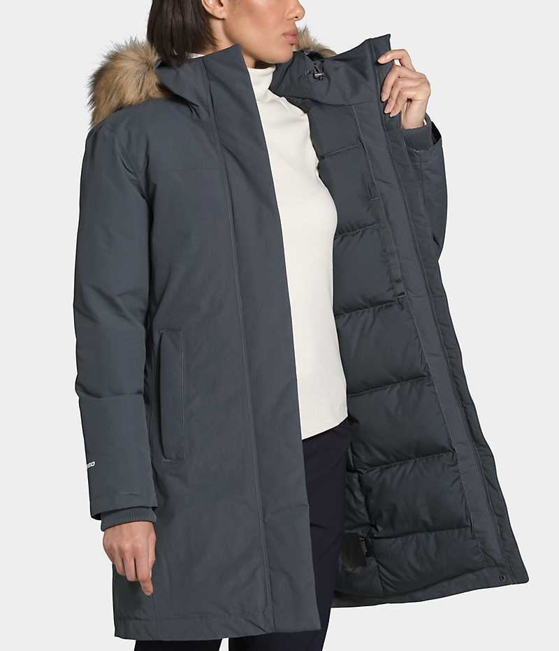 Parka The North Face Arctic Femme Grise | FR IAWQJ