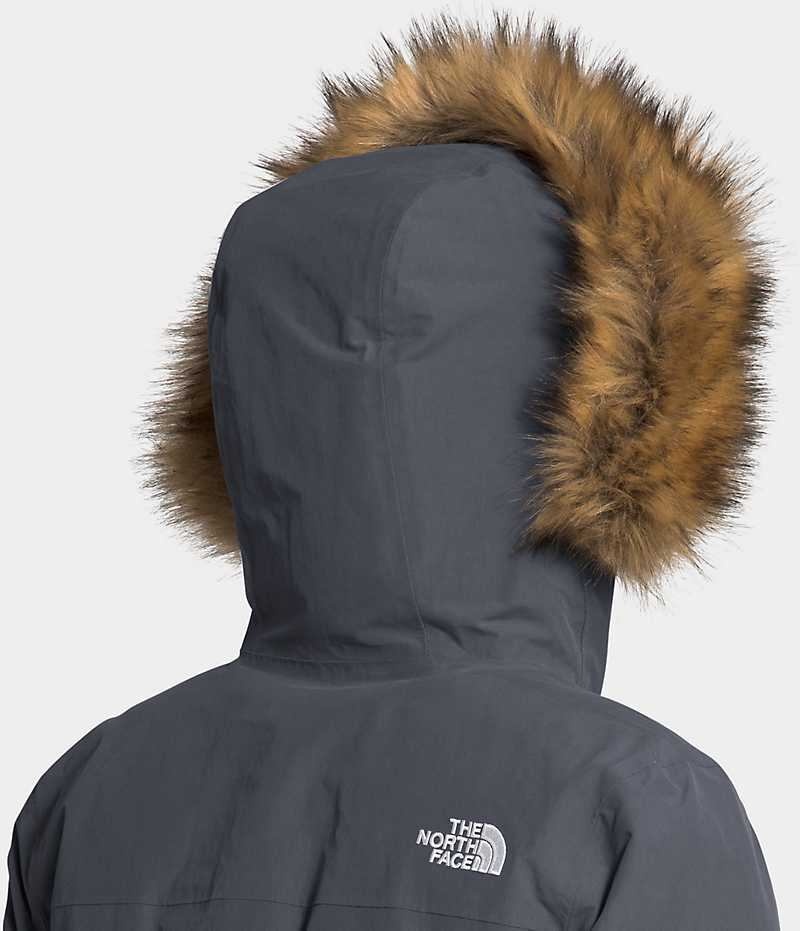 Parka The North Face Arctic Femme Grise | FR IAWQJ