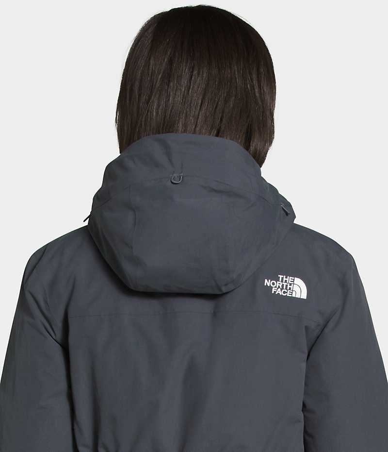 Parka The North Face Arctic Femme Grise | FR IAWQJ