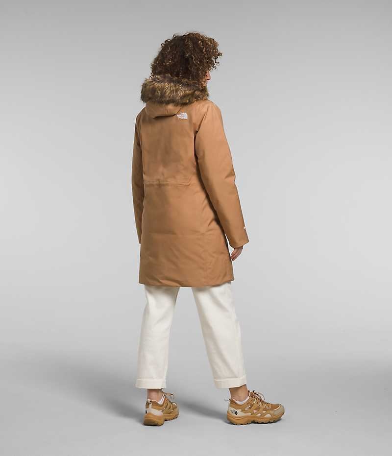 Parka The North Face Arctic Femme Marron | PARIS NSDYI