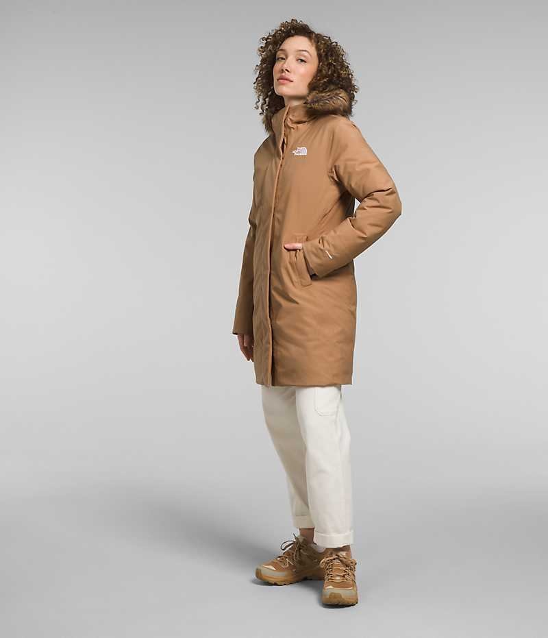 Parka The North Face Arctic Femme Marron | PARIS NSDYI