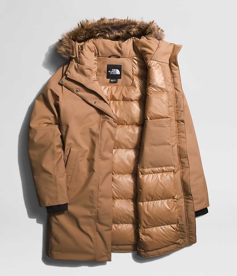 Parka The North Face Arctic Femme Marron | PARIS NSDYI