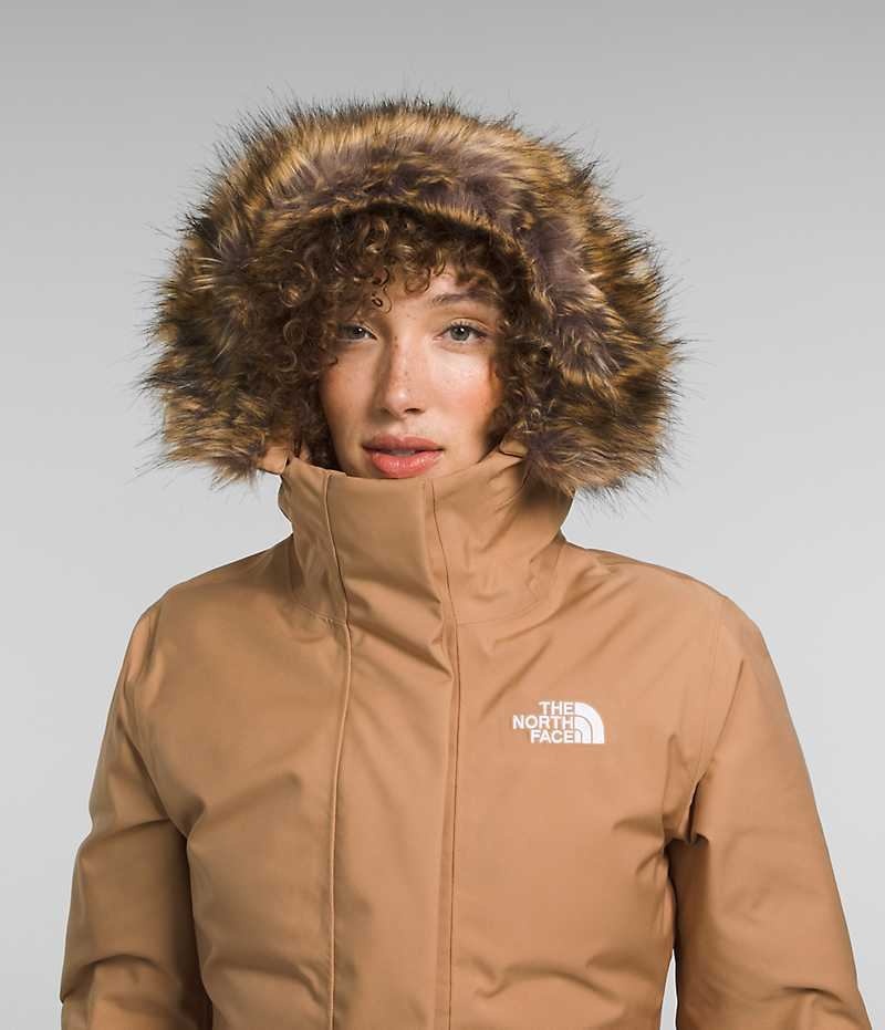 Parka The North Face Arctic Femme Marron | PARIS NSDYI