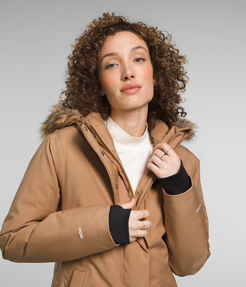 Parka The North Face Arctic Femme Marron | PARIS NSDYI