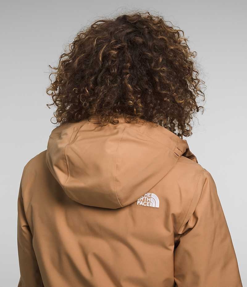 Parka The North Face Arctic Femme Marron | PARIS NSDYI